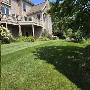 yard care by REAMSLAWNCARE LLC reviewed on August 21, 2025