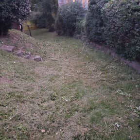 Bush Trimming by K&k lawn care&snow reviewed on August 13, 2025