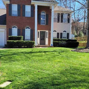 landscaping by Pristine Green reviewed on August 15, 2025