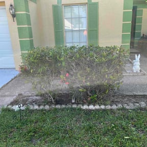 Bush Trimming by Donald Austile Lawn Care reviewed on August 16, 2025