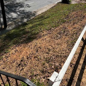 Leaf Removal by Brantnew4U reviewed on May 20, 2026