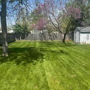 landscaping services by AAA Outdoor Services reviewed on December 30, 2025