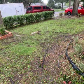 Bush Trimming by Hugo's Lawns reviewed on August 16, 2025
