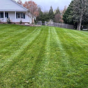 yard care by Tonys Landscaping LLC reviewed on October 23, 2025