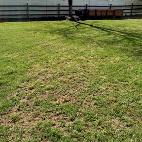 Leaf Removal by JW lawn care reviewed on September 30, 2025