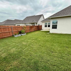 yard work by Native Landscapes Of Central Florida LLC reviewed on May 10, 2024