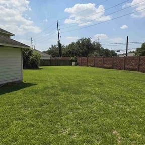 yard care by GALVRI Lawn and Services reviewed on August 15, 2025