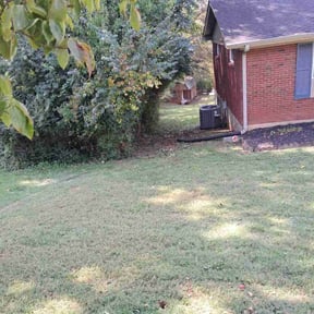 Bush Trimming by Haygood Cleaning, Painting &amp; Lawn Care LLC reviewed on November 20, 2025