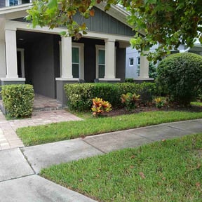 Bush Trimming by Sandra Pagan reviewed on January 18, 2025