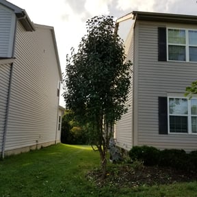 Bush Trimming by Sir Knights Lawn Care reviewed on August 21, 2025
