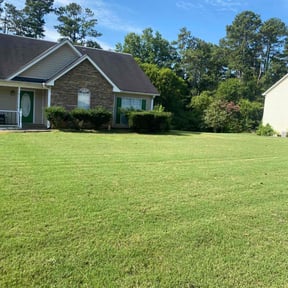 lawn service by TEES SOLUTION reviewed on September 8, 2023
