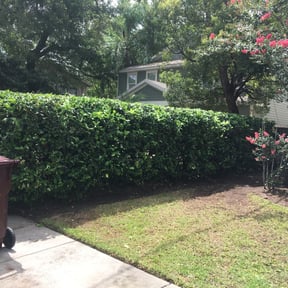 Bush Trimming by Straight Edge Lawn Care reviewed on August 15, 2025