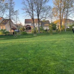 yard work by ShiftChange LLC Lawn Service reviewed on February 26, 2024