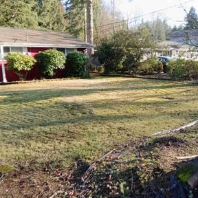 Bush Trimming by Bad Lil Vibes Clothing and More reviewed on January 19, 2026