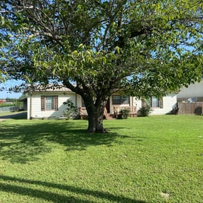 turf care by Dr. Green Thumb lawn care reviewed on August 16, 2025