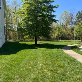 landscaping by J&amp;M Landscaping reviewed on December 4, 2025