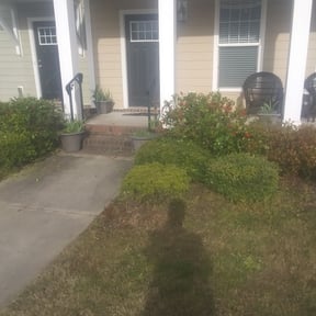 Bush Trimming by Jp lawn care reviewed on August 21, 2025