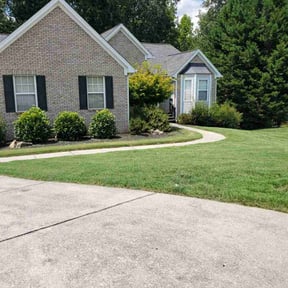 yard service by The Tradesmen Services & Solutions reviewed on August 19, 2025