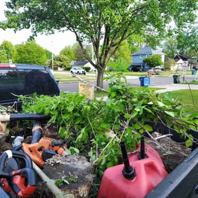 Bush Trimming by Tony's lawn services/Plowing reviewed on August 17, 2025