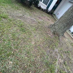 Leaf Removal by AAA LAWN CARE reviewed on August 19, 2025