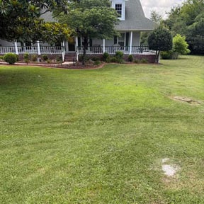 Bush Trimming by K and W Lawn Care reviewed on July 7, 2026