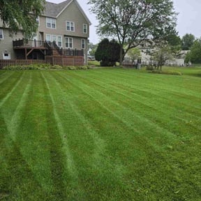 yard service by Lawn Geekz reviewed on April 20, 2024