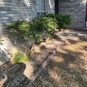 Flower Bed Weeding by Lake Area Lawn Care reviewed on October 20, 2025