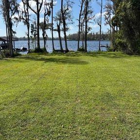 residential landscaping by Tampa lawn &amp; stump reviewed on November 24, 2025