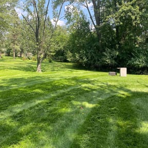 turf care by RakeEm'upCee reviewed on September 5, 2024