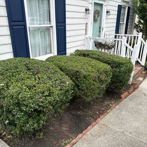 Bush Trimming by Friendly Lawn Services reviewed on May 29, 2026