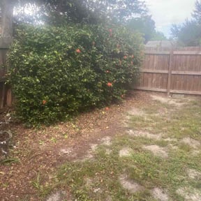 Bush Trimming by Hanhan Lawn Care LLC reviewed on August 28, 2026