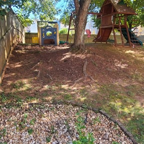 Leaf Removal by DLC Landscape reviewed on September 15, 2025