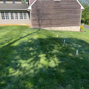 yard care by M&amp;D Lawn care reviewed on November 20, 2025