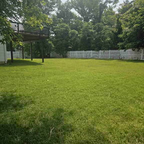 turf maintenance by Jmm reviewed on June 19, 2025