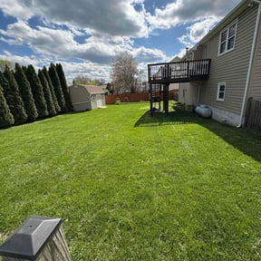 grass cutting by Thick Green Lawn Care reviewed on June 27, 2025
