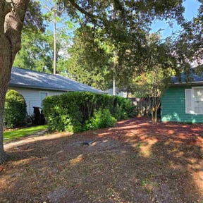 Bush Trimming by Nature’s landscaping reviewed on November 23, 2025