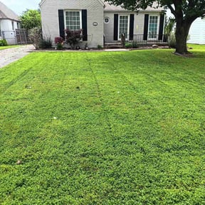 gardening service by All Schuch Up Home Projects reviewed on August 21, 2025