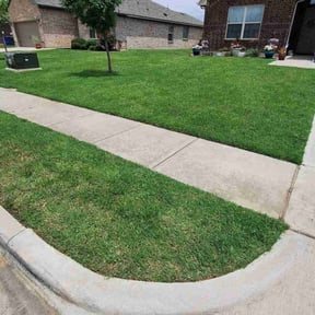 yard maintenance by Burton Lawn Care reviewed on August 15, 2025