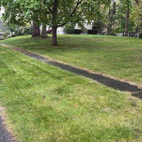 Leaf Removal by Mower man reviewed on May 17, 2026