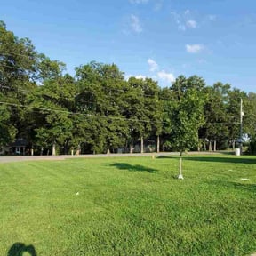 landscape maintenance by 23:1 lawn care reviewed on August 18, 2025