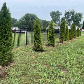 Flower Planting by Pro-Lawn-Care 1 reviewed on May 5, 2025