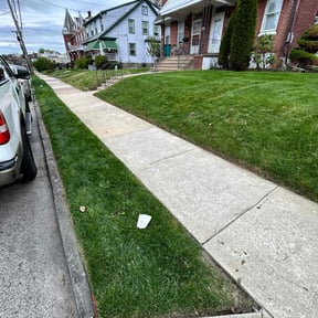 landscaping services by Paradise Eden landscaping reviewed on August 19, 2025