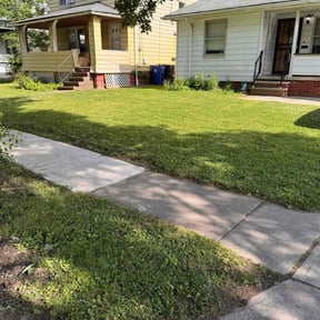 lawn maintenance by Davis Property Maintenance reviewed on March 20, 2024