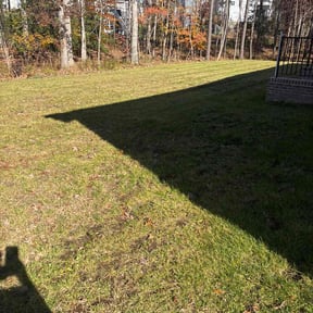 Leaf Removal by Positive Landscaping reviewed on December 16, 2025