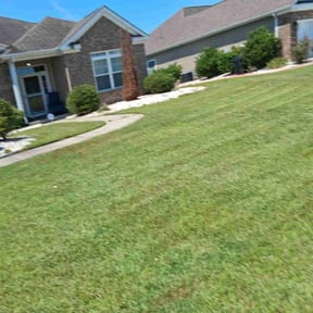 Bush Trimming by Get er Done Grass Cutting reviewed on August 16, 2025