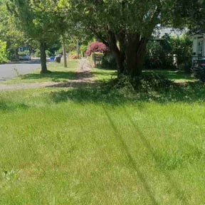 Bush Trimming by Deshun Walker Inc reviewed on June 3, 2026