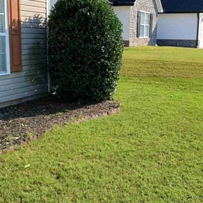 Bush Trimming by Cant Stop Wont Stop Landscaping reviewed on August 13, 2025