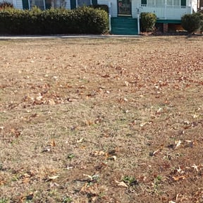 Bush Trimming by Ultimate Landscape Contractor reviewed on August 20, 2025