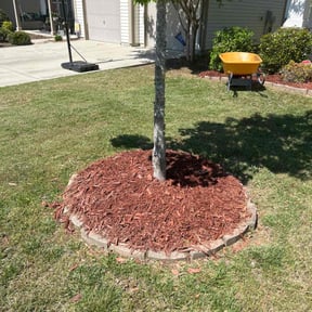 Mulching by Rodriguez Gardening reviewed on August 21, 2025