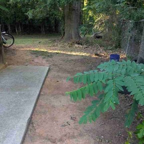 Leaf Removal by Felo pride lawn service reviewed on July 7, 2026